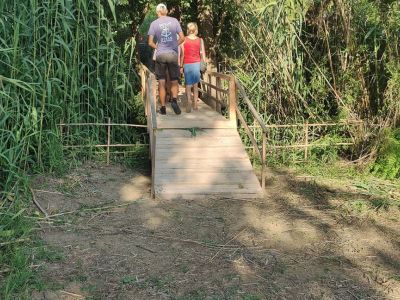 Haus Xenia natrlich holzbrcke naturverbunden